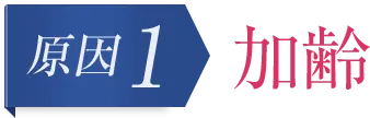 原因1　加齢