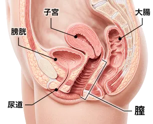 施術前の膣粘膜イメージ